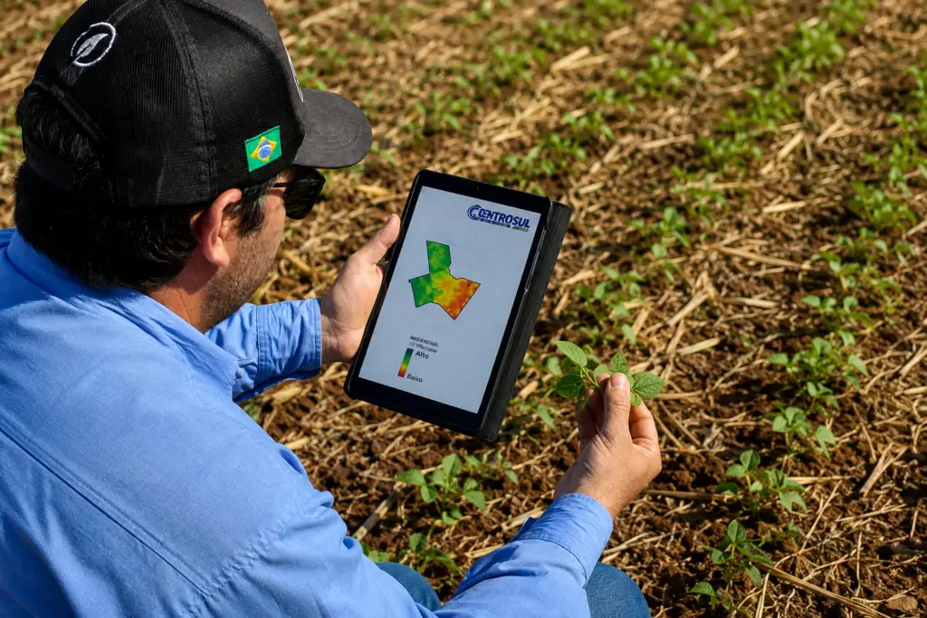 Perito em campo, analisando as plantas, e comparando o NDVI da área